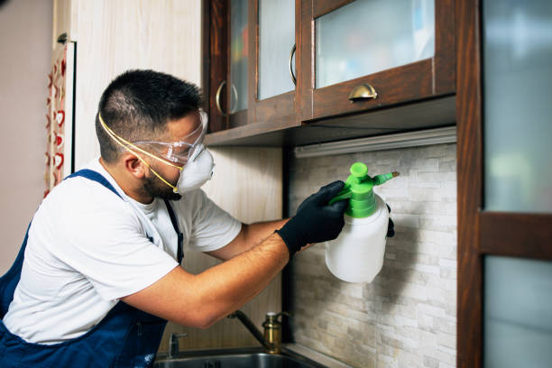 Best Best Pest Control Companies  in Cambridge, NE