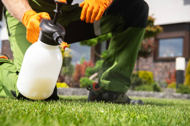 Best Termite Control Services  in Cambridge, NE