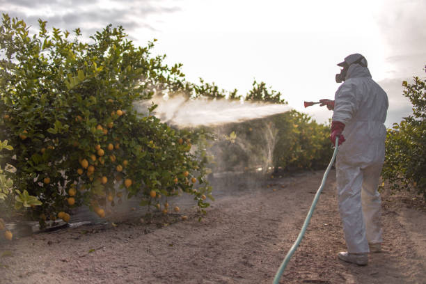 Best Local Pest Control Services  in Cambridge, NE