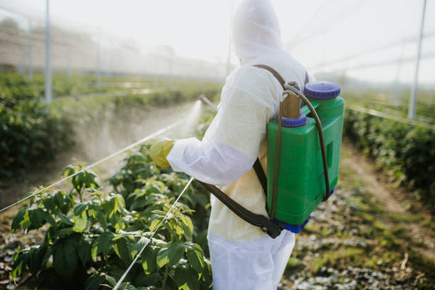 Best Pest Control Near Me  in Cambridge, NE